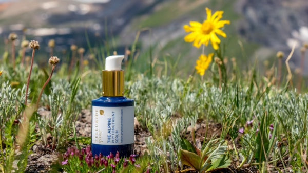 The Restorative Skin Benefits of Alpine Wildflowers