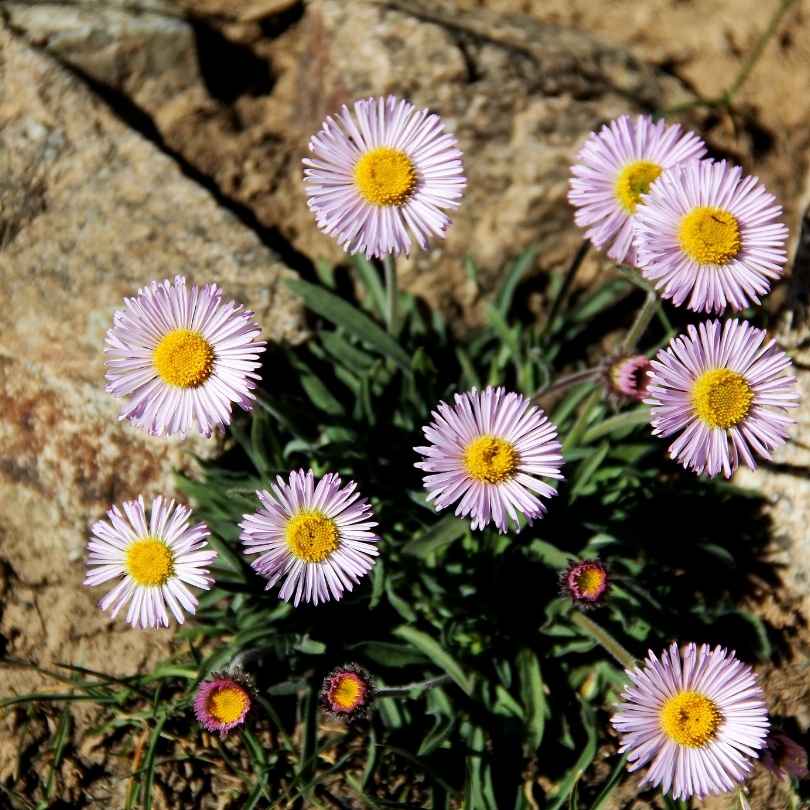 Consciously Crafted Skincare