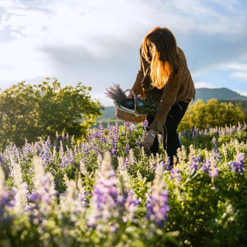 Our Ethical Glow Promise